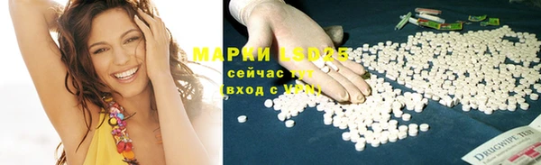 дмт Тавда