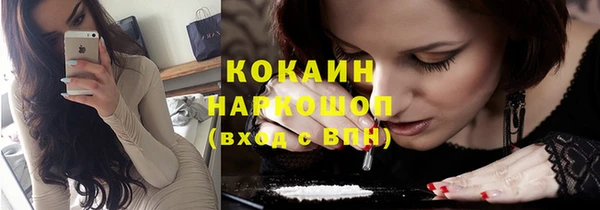 дмт Тавда