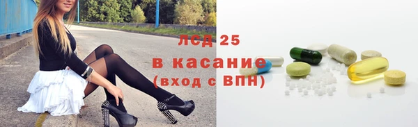 дмт Тавда