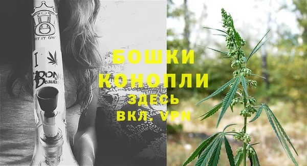 дмт Тавда