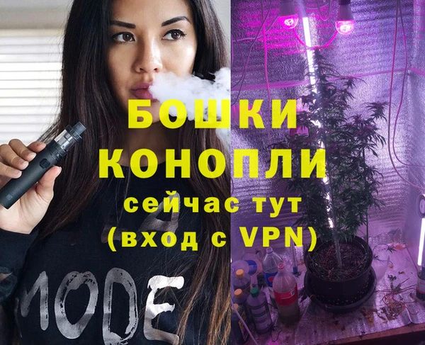 дмт Тавда